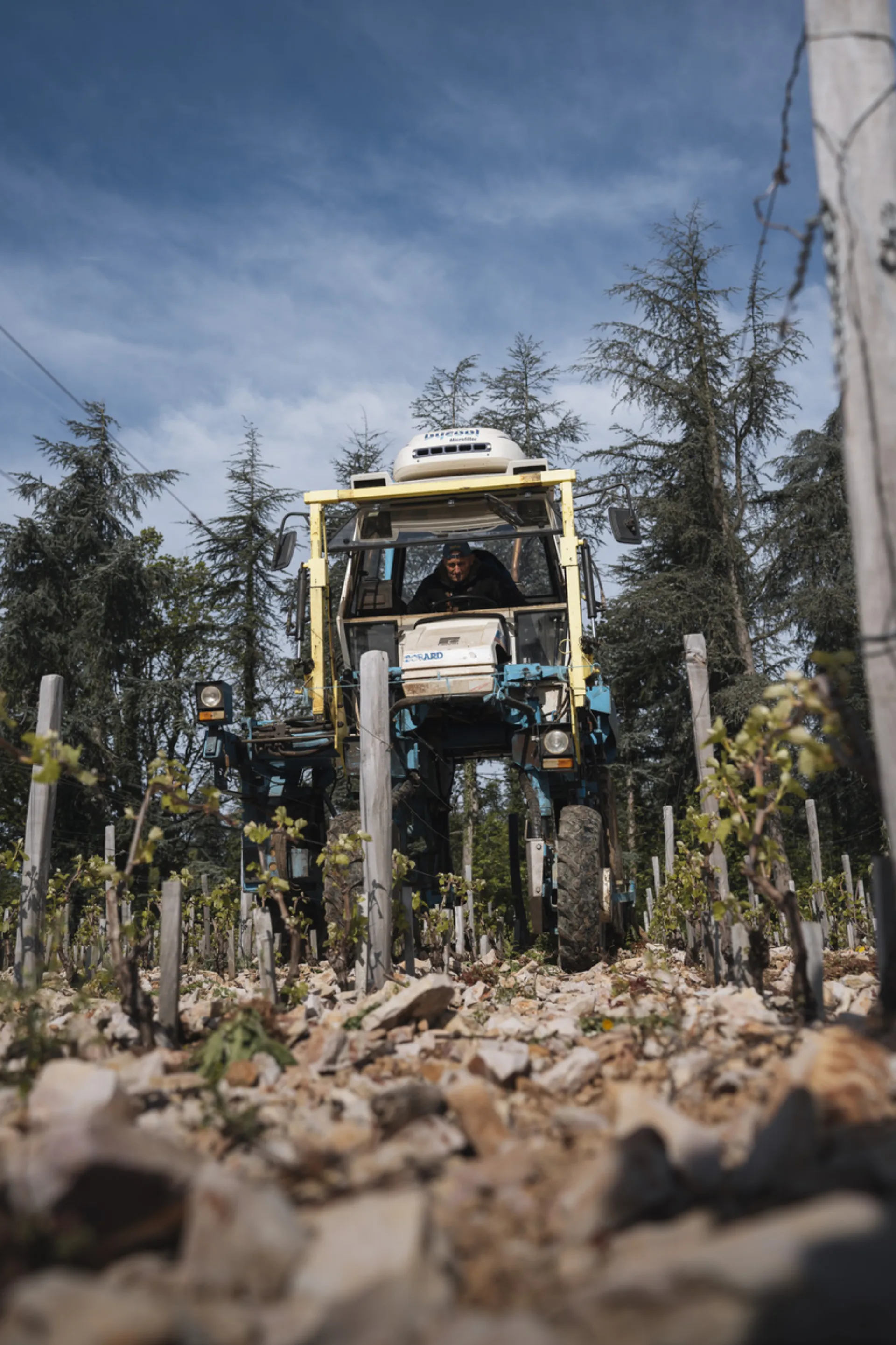 Sol caillouteux argilo-calcaire des vignes de Mercurey, Domaine Raquillet