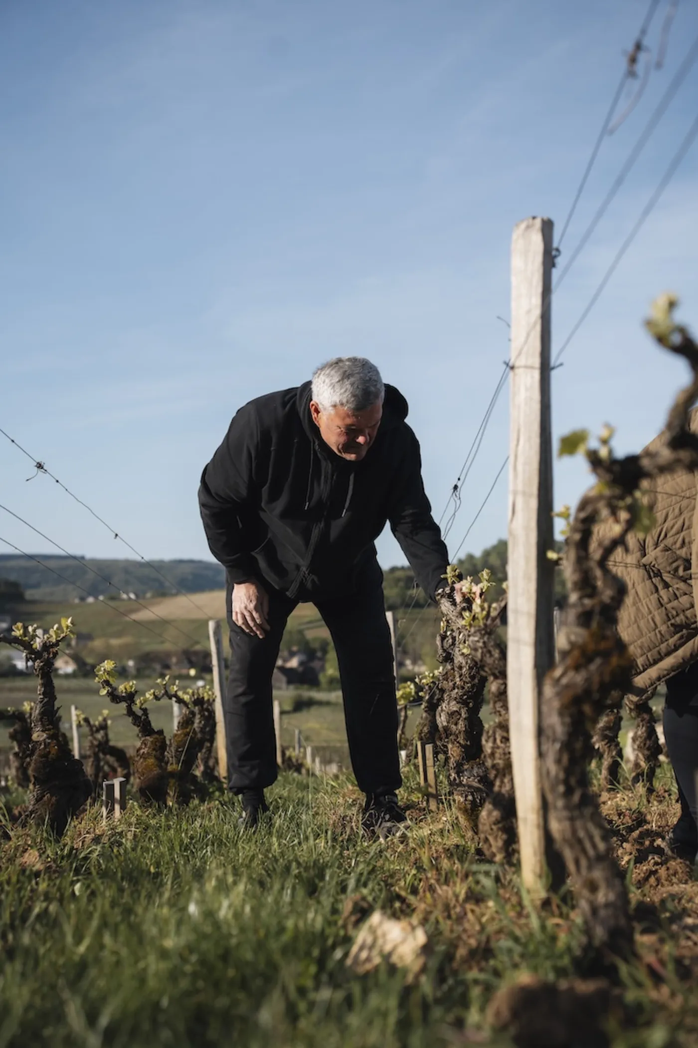 François Raquillet, Winegrower